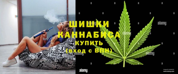 МДПВ Богородицк