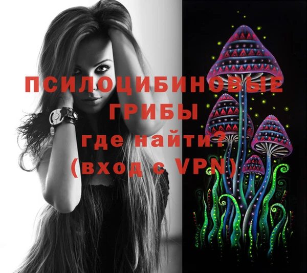 МДПВ Богородицк