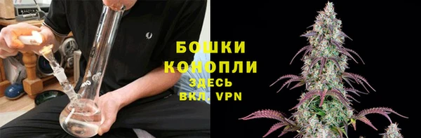сатива Богородск