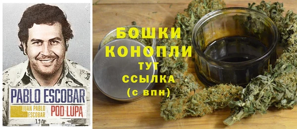 сатива Богородск