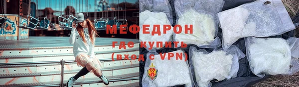 МДПВ Бородино