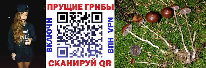 Галлюциногенные грибы мухоморы  Кирсанов 